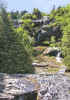 upper ravine.jpg (136893 bytes)