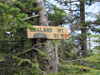 Zealand Falls Hut.jpg (47694 bytes)