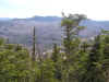 view east.jpg (106953 bytes)
