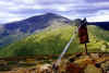 my poles on mt eisenhower.JPG (49066 bytes)